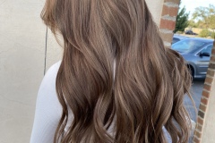 Womens-Lowlights-Subtle-Dimension-Shiny-Very-Long-Hair-Albuquerque-Abq