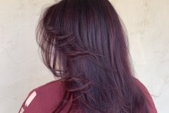 Full All Over Color Dark Red Layred Midlength Haircut Albuquerque Abq