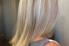 Hair blend highlights red to platinum blonde abq