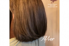 hair-transition-embrace-natural-gray-hair-color-abq-2