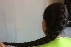 Simple Dutch braid - abq