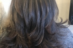 soft-layers-subtle-auburn-hair-highlights-abq