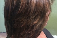 Caramel highlights - shoulder length haircuts lots of layers